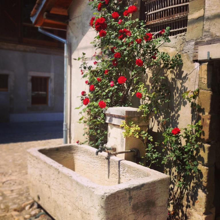 Hotel La Ferme Du Lignon Genewa Zewnętrze zdjęcie